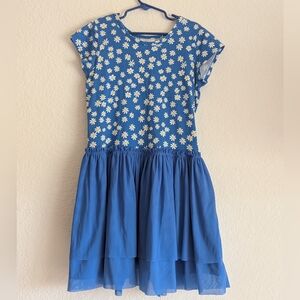 Hanna Andersson Blue Daisy Dress
